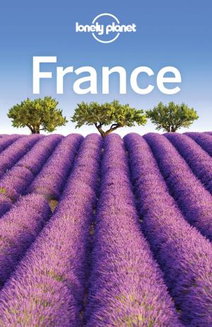 Book cover of Lonely Planet France
