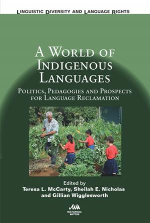 Cover of the book A World of Indigenous Languages by Dr. David Timothy Duval