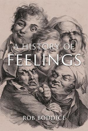 Cover of the book A History of Feelings by Michelangelo Sabatino, Rhodri Windsor Liscombe