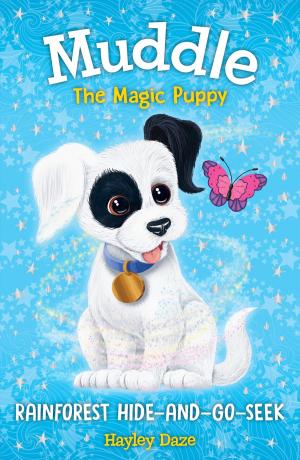 Cover of the book Muddle the Magic Puppy Book 4: Rainforest Hide-and-Seek by Nancy Lambert