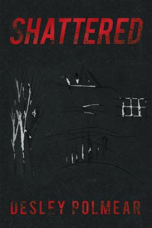 Cover of the book Shattered by Lizzie Rose