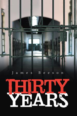 Cover of the book Thirty Years by Bret Burquest