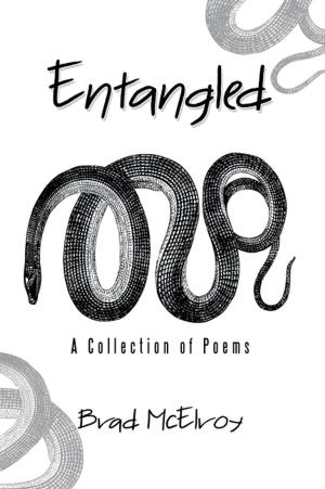 Cover of the book Entangled by Leslie R. Toliver