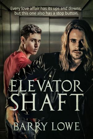bigCover of the book Elevator Shaft by 