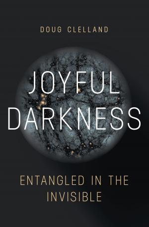 Cover of the book Joyful Darkness by Robert Corfe