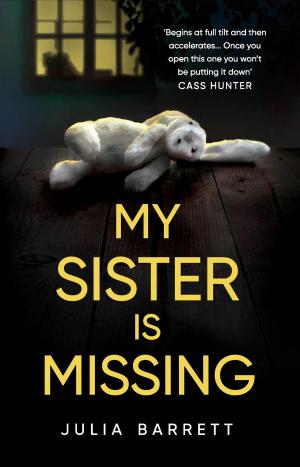 Cover of the book My Sister is Missing by Christian Barrett