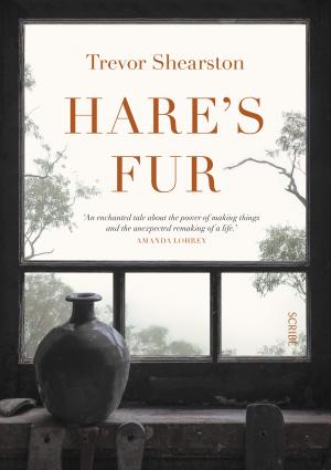 Book cover of Hare's Fur