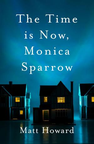 Cover of the book The Time is Now, Monica Sparrow by David Cohen