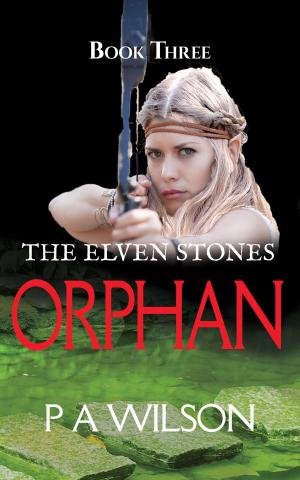 Cover of the book The Elven Stones Orphan by C. H. Aalberry