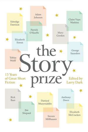 Cover of the book The Story Prize by Lu Spinney