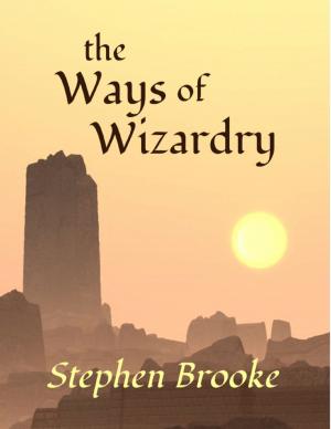 Cover of the book The Ways of Wizardry by August D. Adams