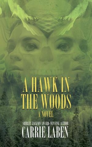 Cover of the book A Hawk in the Woods by Tony McMillen