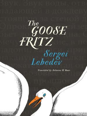Cover of the book The Goose Fritz by Salvatore Settis