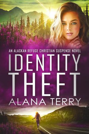Book cover of Identity Theft