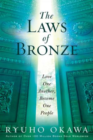 Cover of the book The Laws of Bronze by Ryuho Okawa