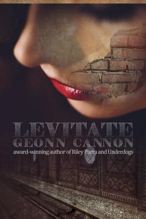 Book cover of Levitate: A Spy Novel