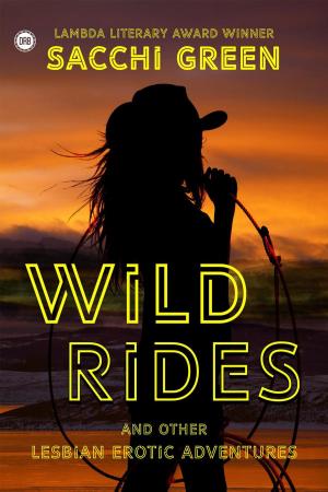 Book cover of Wild Rides and Other Lesbian Erotic Adventures