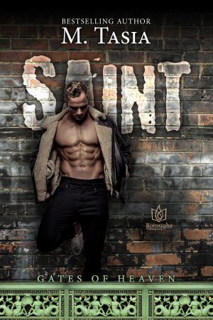 Cover of the book Saint by Minda Webber