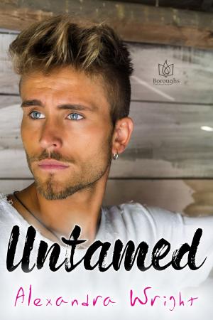 Cover of the book Untamed by Lyn Austin