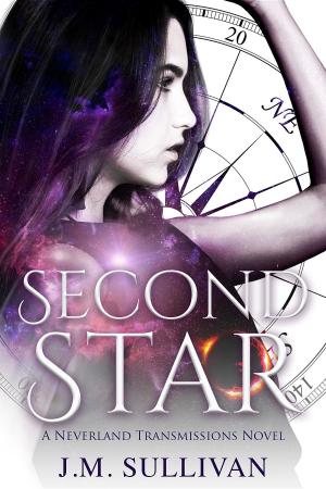 Cover of the book Second Star by Gillian Rhodes