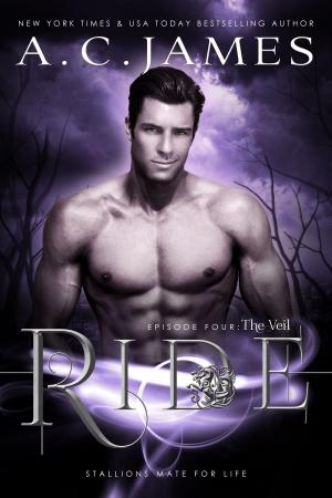Cover of the book Ride: The Veil by Sheila Cragg