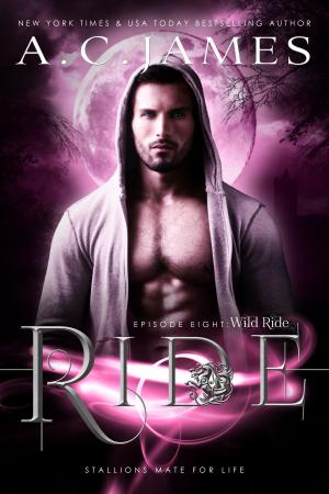 Cover of the book Ride: Wild Ride by Laura Story