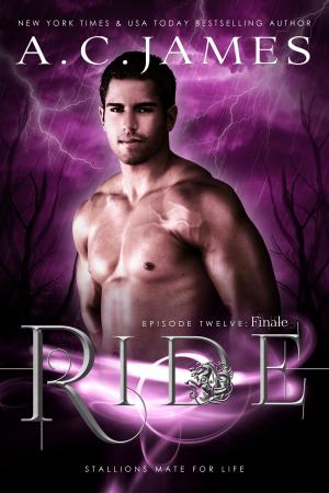Book cover of Ride: Finale