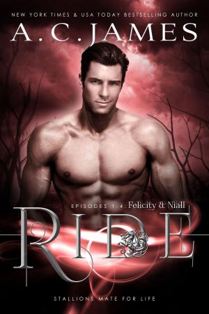 Cover of the book Ride: Felicity and Niall by Amy Andrews