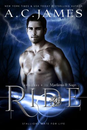 Cover of the book Ride: Maelíosa and Sage by Kristina Ellis