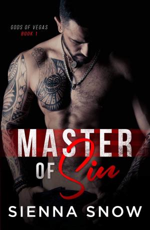 Cover of the book Master of Sin by Dina Marie