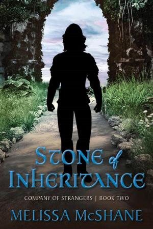 Cover of the book Stone of Inheritance by Devan Sagliani