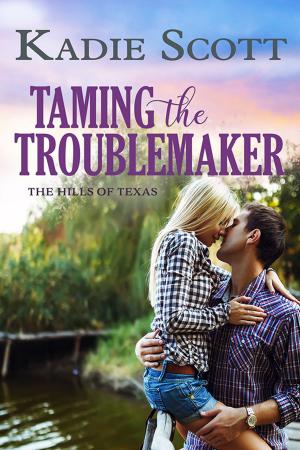Book cover of Taming the Troublemaker