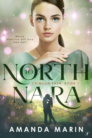Cover of the book North to Nara by MO Kenyan