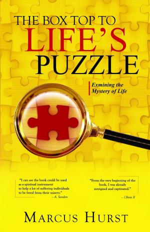 Cover of the book The Box Top to Life's Puzzle by Robert H. Wellington