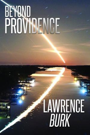 Cover of the book Beyond Providence by Rev. Raymond G. Cross