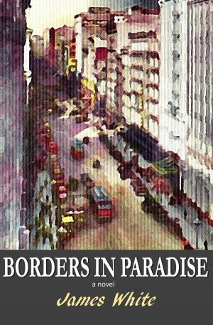 Book cover of Borders in Paradise
