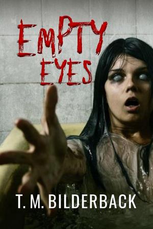 Cover of the book Empty Eyes by D.K. Stone