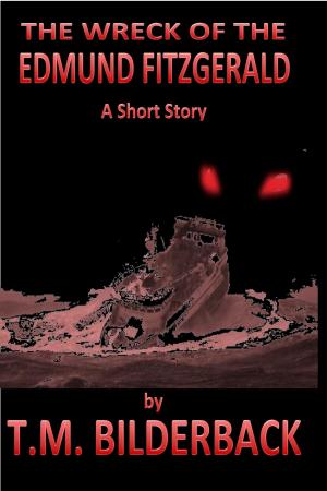 Cover of the book The Wreck Of The Edmund Fitzgerald - A Short Story by T. M. Bilderback