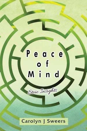 Cover of the book PEACE OF MIND by Karen J. Vivenzio