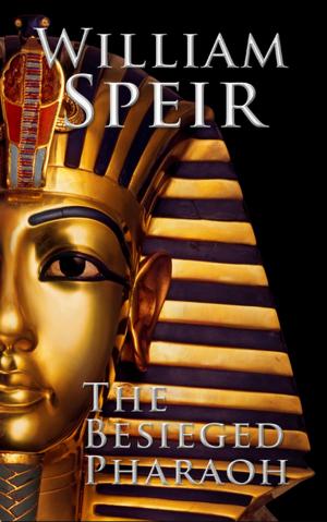 Book cover of The Besieged Pharaoh