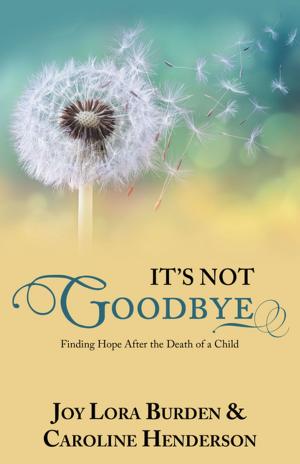 Cover of the book It’s Not Goodbye by Jan Nimchuk