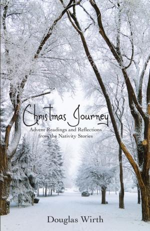 Book cover of Christmas Journey