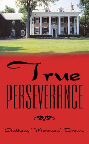 Cover of the book True Perseverance by Daniel J. Williams