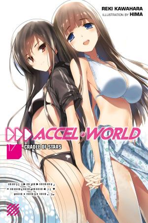 Cover of the book Accel World, Vol. 17 (light novel) by G.N.Paradis