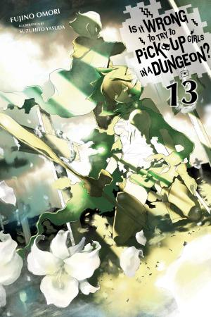 Cover of the book Is It Wrong to Try to Pick Up Girls in a Dungeon?, Vol. 13 (light novel) by Ryukishi07, Hinase Momoyama