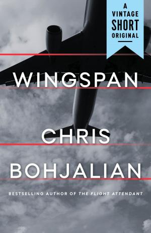 Cover of the book Wingspan by Jonathan Sacks