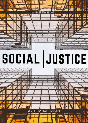 Cover of the book Social Justice by Guido Fabrizi