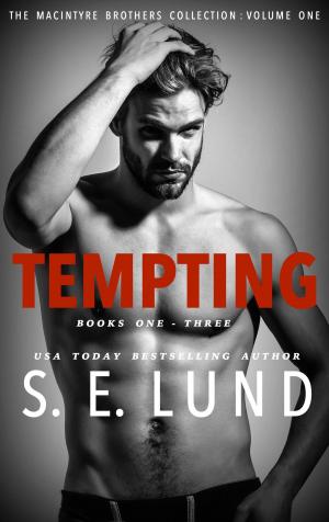 Cover of the book Tempting by Susan Lund