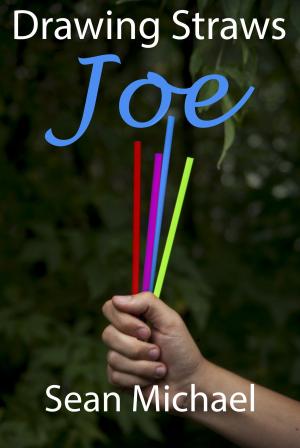 Book cover of Drawing Straws: Joe