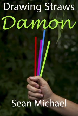 Book cover of Drawing Straws: Damon
